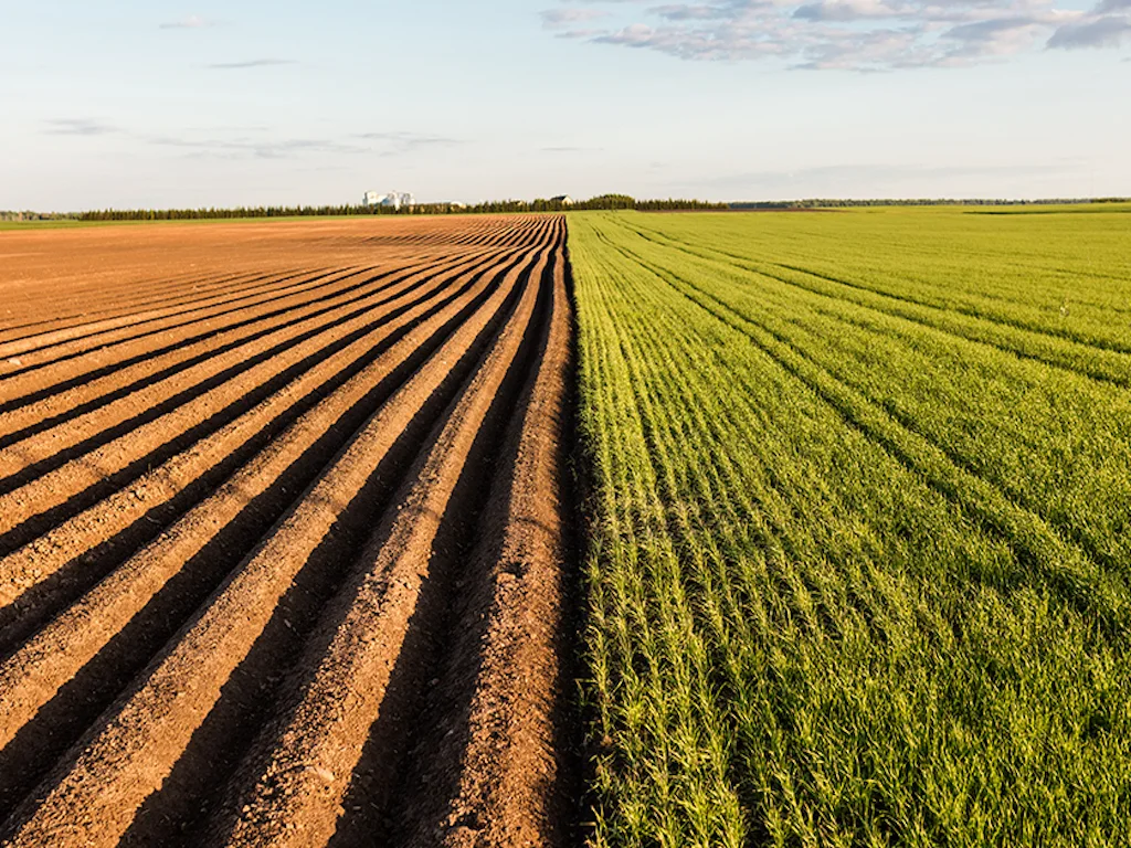 25 Acres Arable Farm Land Ijebu-Igbo