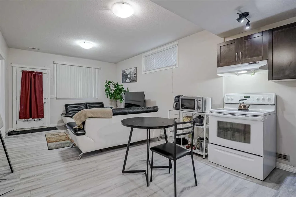 Luxury Basement