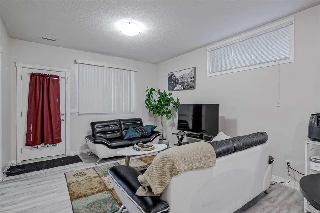 Luxury Basement thumbnail 5